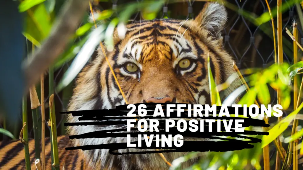 affirmations for positive living. This mindset video is filled with reminders for health, wealth and wisdom!