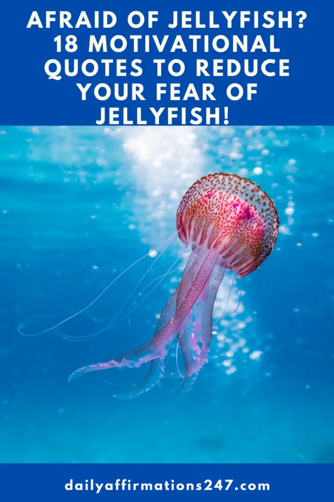 Afraid of Jellyfish? 18 Motivational Quotes To Reduce Your Fear Of Jellyfish! (CALM AFFIRMATIONS)
