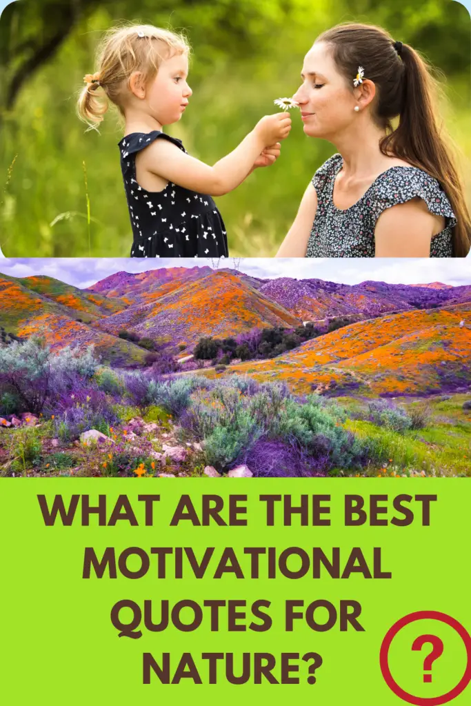 What Are The Best Motivational Quotes For Nature? 18 Affirmations For Embracing Beauty of Nature!